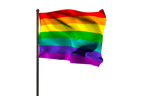 Rainbow Flag Symbol on Transparent Background - Download Free Stock Videos Pikwizard.com