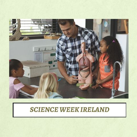 teacher explaining human anatomy model to diverse kids - Download Free Stock Templates Pikwizard.com