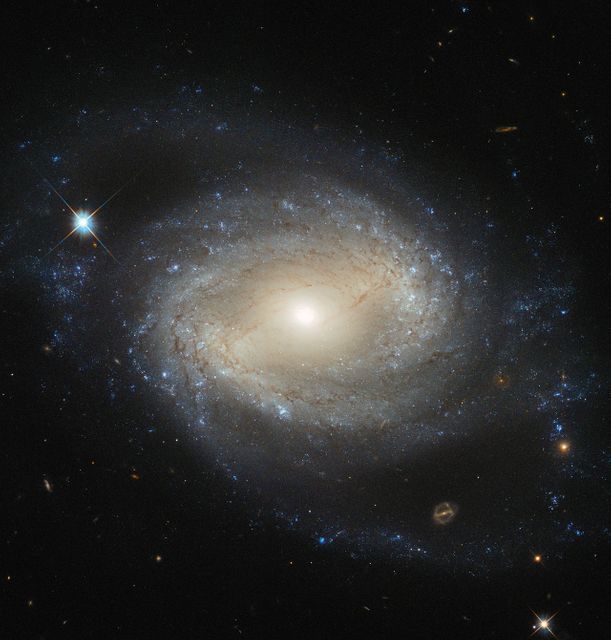 This mesmerizing image showcases the barred spiral galaxy NGC 4639, located over 70 million light-years away in the constellation of Virgo. Captured by the Hubble Space Telescope, the image highlights star formation regions and the bar through the galaxy's core, which harbors a massive black hole. The vivid details make it ideal for educational content, science exhibits, and space-themed projects or publications.