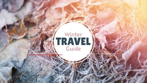 winter travel guide with frosty leaves background - Download Free Stock Templates Pikwizard.com