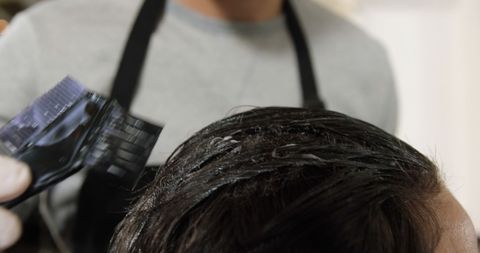 Professional Hairstylist Applying Hair Dye to Client - Download Free Stock Images Pikwizard.com