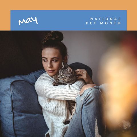 Celebrating National Pet Month with Cozy Cat Cuddles at Home - Download Free Stock Templates Pikwizard.com