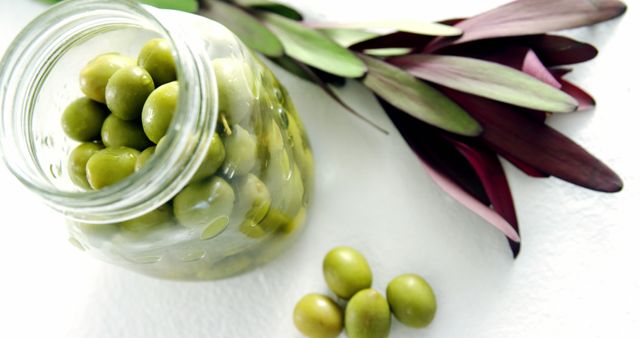 Jar of Green Olives with Olive Branches on White Background - Download Free Stock Images Pikwizard.com