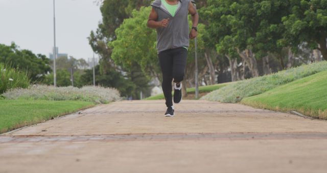 Man Jogging on Park Trail Surrounded by Green Trees - Download Free Stock Images Pikwizard.com