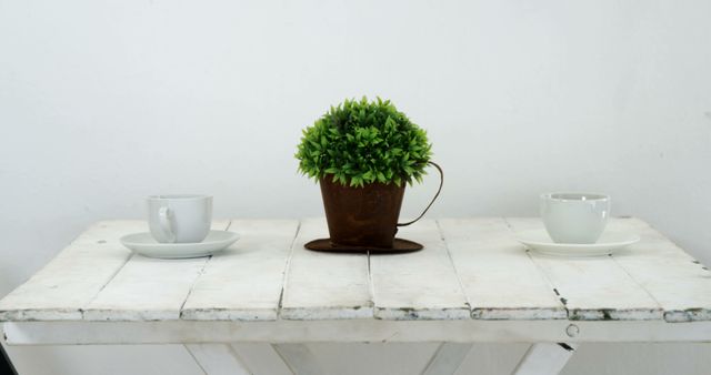 A minimalist setup features a small potted plant between two white cups on a rustic white table, with copy space. The simplicity of the arrangement emphasizes a clean and tranquil aesthetic.
