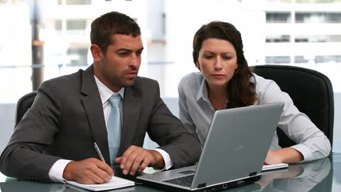 Business Colleagues Collaborating on Laptop Project in Modern Office