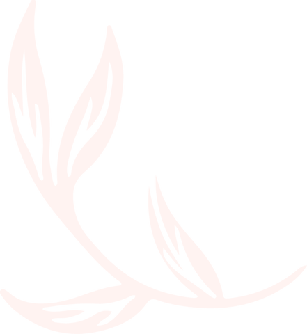 Elegant Transparent Botanical Illustration Minimalist Leaf Design - Download Free Stock Videos Pikwizard.com