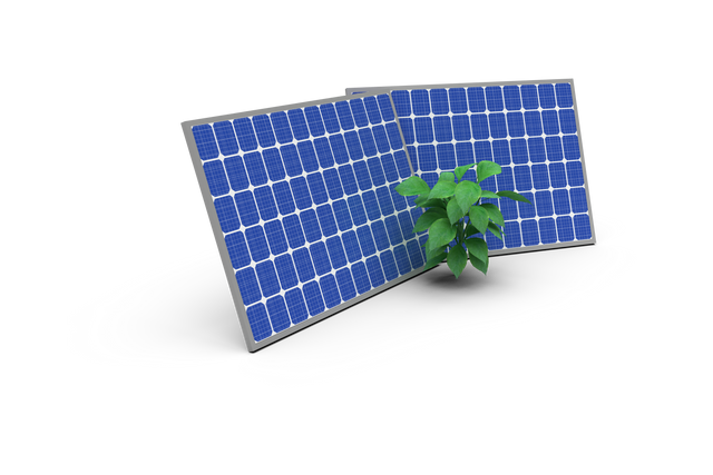 Transparent Energy Transformation Concept with Plant and 3D Solar Panels - Download Free Stock Videos Pikwizard.com