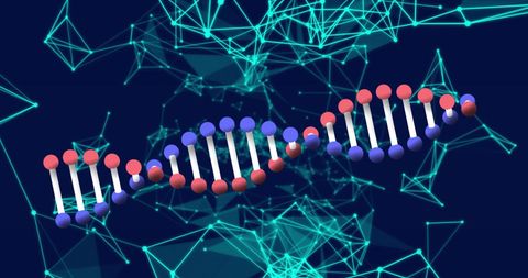 Futuristic DNA Structure with Digital Network Connection