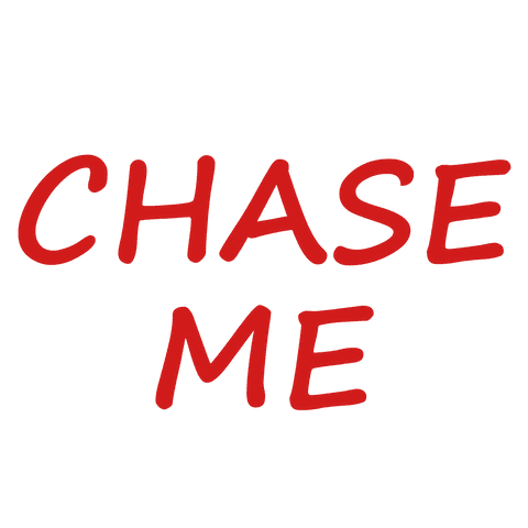 motivational chase me text on transparent background - Download Free Stock Videos Pikwizard.com