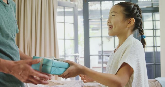 Joyful Daughter Giving Gift to Father Indoors - Download Free Stock Images Pikwizard.com