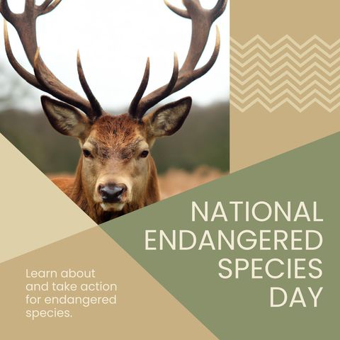 Awareness for National Endangered Species Day with Majestic Deer