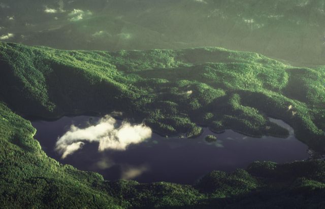 Aerial View of Pristine Mountain Lake Surrounded by Lush Forest - Download Free Stock Photos Pikwizard.com