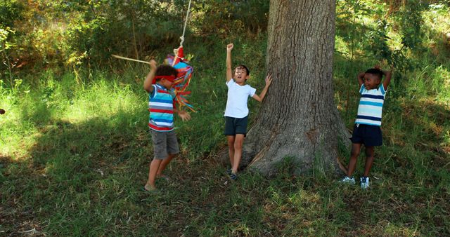 Children Playing with Pinata in Park - Download Free Stock Images Pikwizard.com