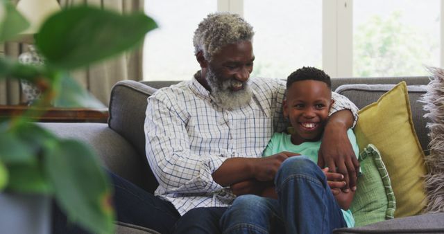 Grandfather and Grandson Sharing a Happy Moment on the Couch - Download Free Stock Images Pikwizard.com