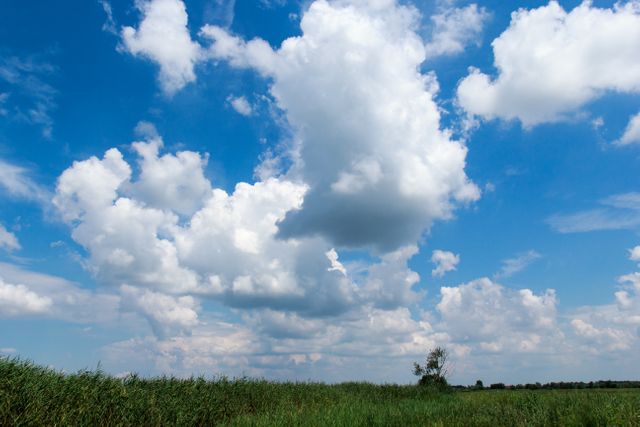 This image captures a tranquil natural landscape with a blue sky filled with fluffy white clouds over a vast green field. Ideal for use in projects related to nature, outdoors, tranquility, relaxation, and environmental themes. Suitable for backgrounds, websites, advertisements, and posters.