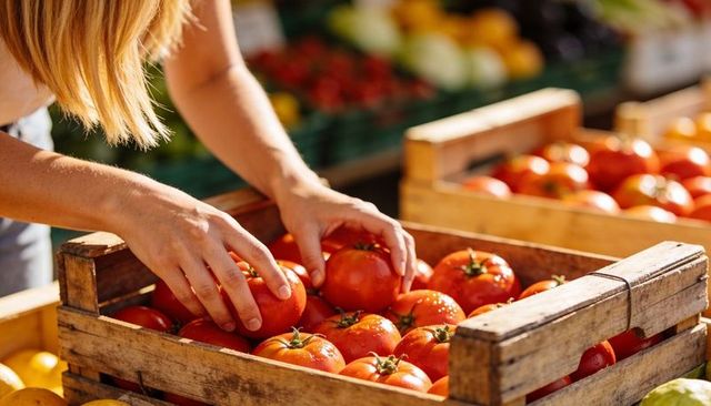 Woman picking ripe red tomatoes at outdoor farmers market in rustic wooden crate under sunlight