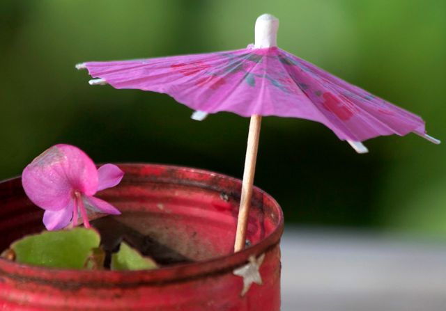 Close-up of a decorative paper umbrella and a small pink flower in a garden-like setting. Ideal for use in summer, leisure, and relaxation themes or as a visual aid in blogs and articles about outdoor decor, party decorations, or small scale gardening.