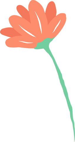 Coral-orange hand-drawn flower on transparent background