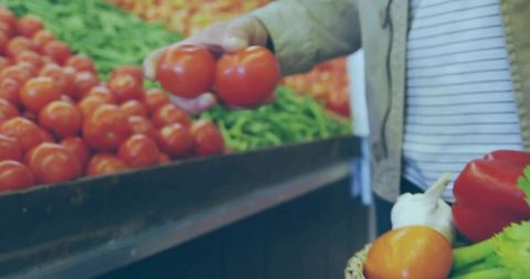 Male Shopper Choosing Fresh Tomatoes in Grocery Store Aisle
