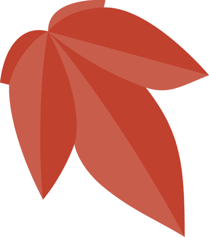 Radiant red petals floral motif on transparent background