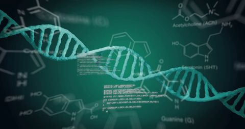 Futuristic DNA Analysis with Scientific Data Interface - Download Free Stock Images Pikwizard.com