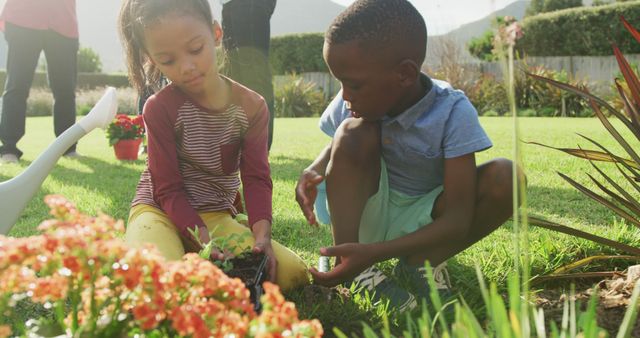 Diverse Children Planting Flowers in Garden on Sunny Day - Download Free Stock Images Pikwizard.com