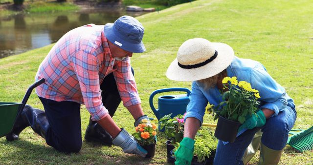 A senior Caucasian man and woman are engaged in gardening activities outdoors, with copy space - Download Free Stock Photos Pikwizard.com