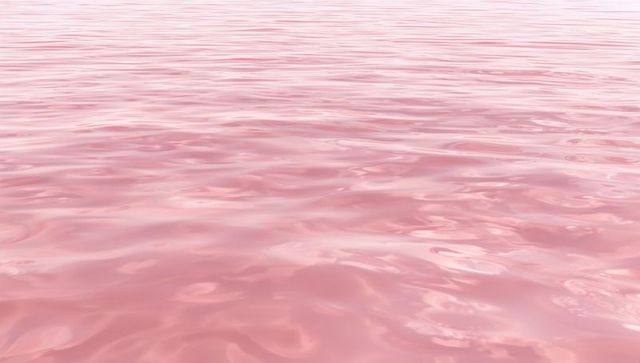 Shimmering pink water surface, soft pastel ripples, tranquil horizon, serene minimal dawn