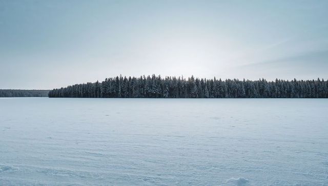 Frozen lake horizon featuring snow-dusted conifer forest minimalist winter landscape