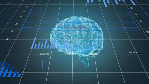 Digital Analysis of Data with Spinning Human Brain Hologram