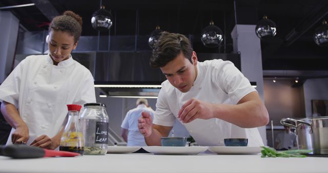 Focused Chefs Adding Final Touches to Dishes in Modern Kitchen - Download Free Stock Images Pikwizard.com