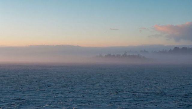 Tranquil Frosty Morning Landscape with Distant Trees at Dawn