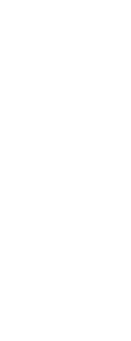 Dynamic silhouette of sportswoman with raised arms on transparent background