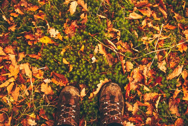 Shows a view from above of a person standing in hiking boots on an autumn forest floor covered with colorful leaves. Perfect for promoting outdoor activities, trekking gear, nature excursions, and fall tourism.