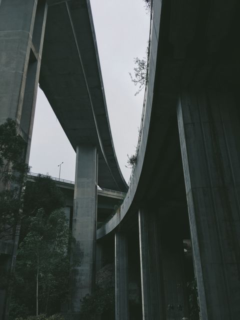 Urban Highway Overpasses with Concrete Columns - Download Free Stock Images Pikwizard.com