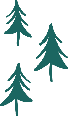 stylized pine trees in minimalist design on transparent background - Download Free Stock Videos Pikwizard.com