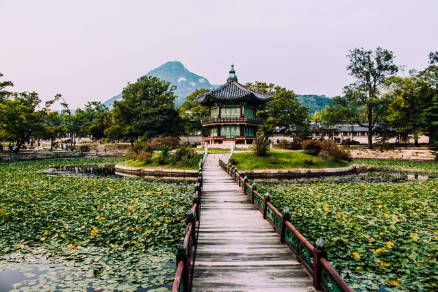 Traditional Korean architecture showcased in beautiful palace garden with a wooden bridge leading to pagoda. Nestled in lush landscape with a scenic mountain backdrop, this serene location is ideal for travel blogs, cultural heritage projects, and tourism advertisements highlighting South Korea’s historical sites. The lotus pond adds an element of tranquility, making it suitable for themes related to nature and meditation.