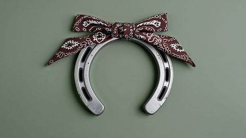 Horseshoe with paisley bow on muted green background