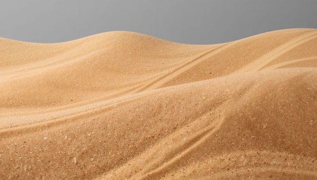Undulating sand dunes showing smooth ripples and mineral flecks under gray sky