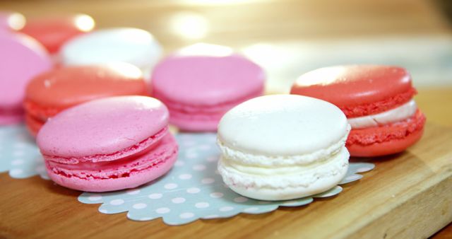 Tray of macaroons on counter in cafe 4k - Download Free Stock Photos Pikwizard.com