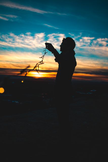 Silhouette of Person Holding String Lights at Sunset - Download Free Stock Photos Pikwizard.com