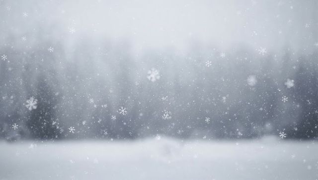 Drifting Snowflakes Floating Over Snowy Field With Misty Treeline and Soft Bokeh