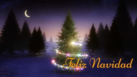 Feliz Navidad Christmas Tree with Sparkling Lights at Night