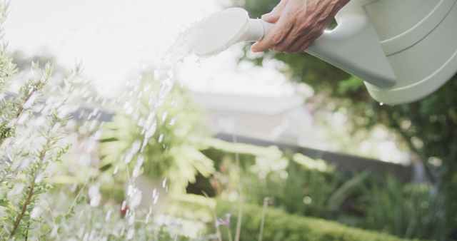 Hand waterning plants in garden with watering can - Download Free Stock Images Pikwizard.com