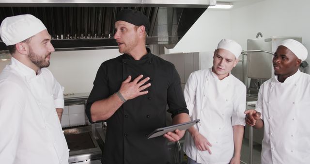 Head Chef Giving Instructions to Kitchen Staff - Download Free Stock Images Pikwizard.com