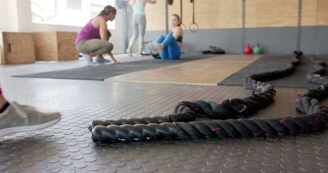 Women Exercising with Battle Ropes in Modern Gym Setting - Download Free Stock Images Pikwizard.com