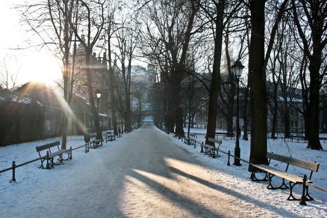 Snow-covered park with trees and benches bathed in soft sunlight. The pathway leads into the distance, framed by tall trees and empty benches on either side, creating a sense of tranquility and solitude. Ideal for themes of winter, nature, peacefulness, early morning, park scenes, and reflective moments.