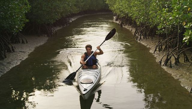 Paddling man navigating tidal mangrove channel in sit-in kayak with reflective water