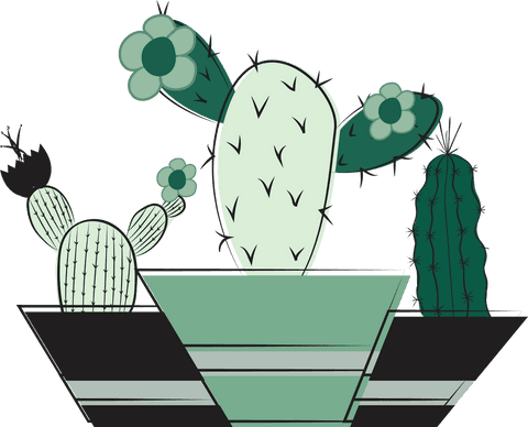 vector cacti illustration on transparent background for interior decor - Download Free Stock Videos Pikwizard.com